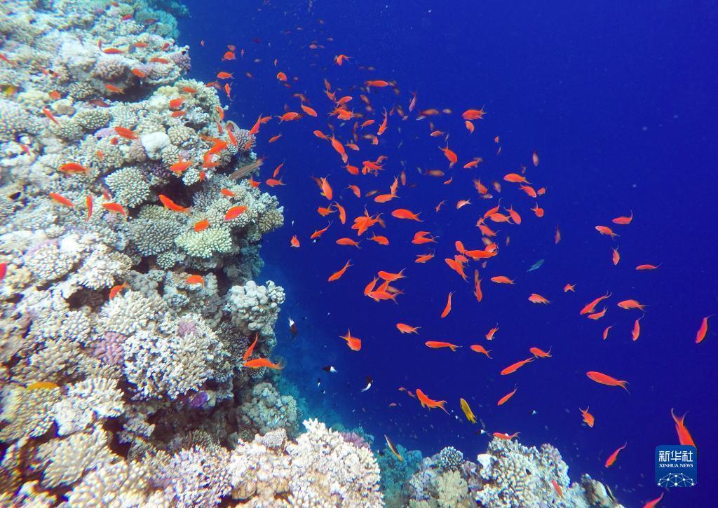 搜狗浏览器